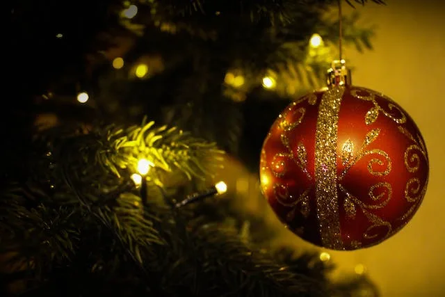Deck Your Garden with Christmas Lights and Live Greenery